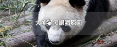 大熊猫黑眼圈原因