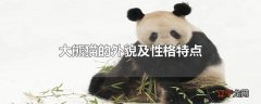 大熊猫的外貌及性格特点