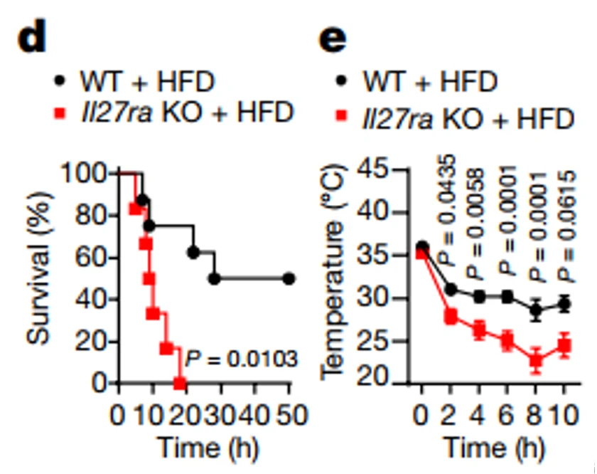 Nature：炎症因子玩“跨界”，躺平即可消耗卡路里