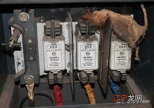 电气安全丨别扯了！您真的知道什么叫电气安全吗？！企业用电安全注意事项！