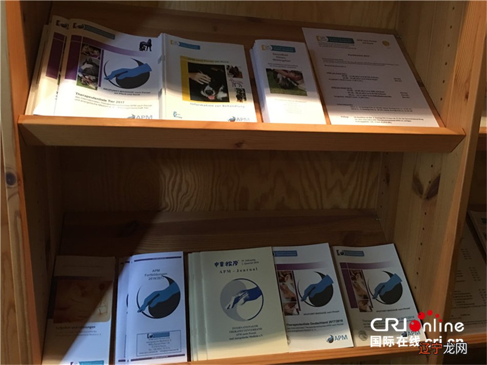 中医经络疗法在德国小镇生根开花