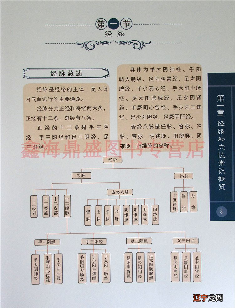 中医经络疗法在德国小镇生根开花