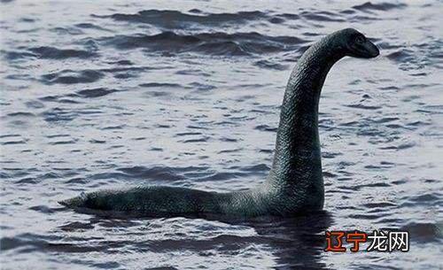 已经解开的水怪之谜 巨型水怪未解之谜