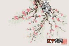 2021年8月属猴人学业成绩会有好的提升吗