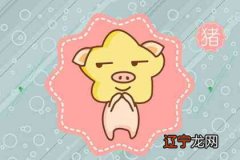 男的属猴女的属猪配对 配对运势怎么样