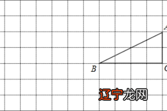 编程求直角三角形斜边的长（python输入直角边求斜边）