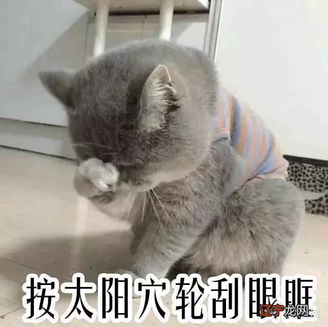 九年义务白上了，这竟然是两个字