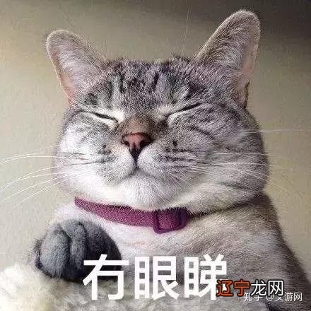 九年义务白上了，这竟然是两个字