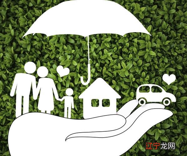 中国人寿保险种类介绍