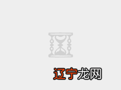 软件技术支持_支持性心理治疗的技术_苹果7支持lifi技术吗