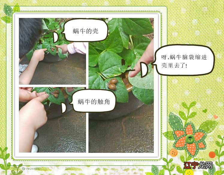 案例尊重幼儿的兴趣与爱好