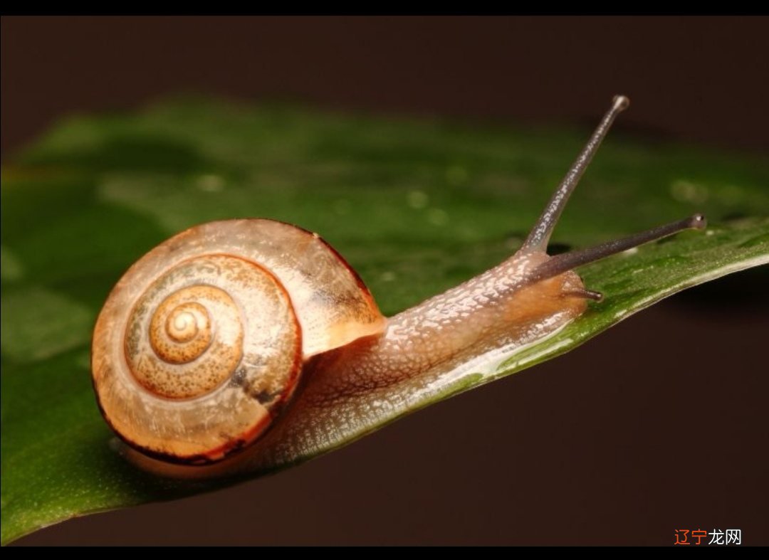 案例尊重幼儿的兴趣与爱好