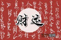 家里绿植旺盛与风水 虎皮兰可招财