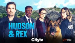 《哈德森与雷克斯第五季》Hudson &amp; Rex 迅雷下载