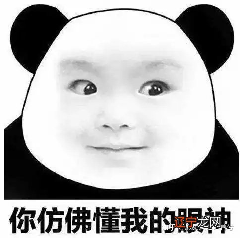 从《惊雷》到罗志祥的《猛男日记》，这些歌词竟然这么魔幻...