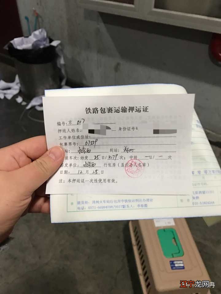 超详细宠物火车托运攻略请查收~