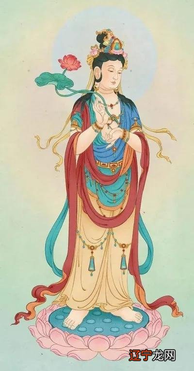 佛珠生菇品中小和尚留在尘世的二十年里_佛珠生菇_佛珠生菇品中小和尚没有回寺