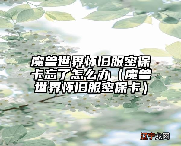 魔兽世界怀旧服密保卡 魔兽世界怀旧服密保卡忘了怎么办