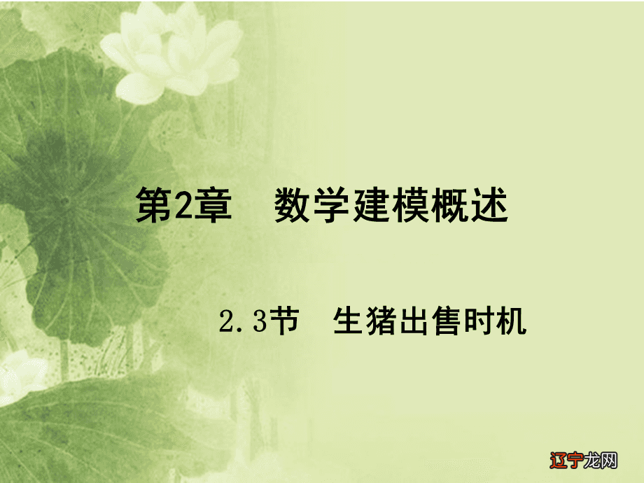 建模研究/排队论模型和灵敏度检验分析