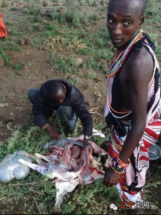 “多夫多妻”、女性割礼、饮生血…一位中国妹子探访非洲马赛族神秘传统婚礼