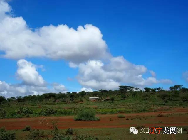 “多夫多妻”、女性割礼、饮生血…一位中国妹子探访非洲马赛族神秘传统婚礼
