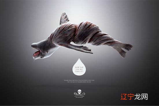 广告制作包括哪些 广告产品加工包括哪些