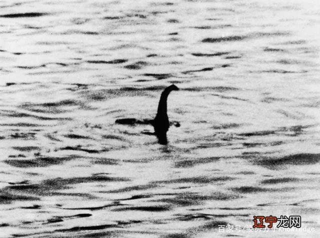 水怪图片大全尼斯湖水怪的_真相特别节目河中巨怪_尼斯湖水怪真相