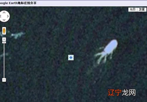 放大招让尼斯湖水怪现“真身”!结果可能只是条鳗鱼