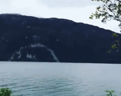 放大招让尼斯湖水怪现“真身”!结果可能只是条鳗鱼