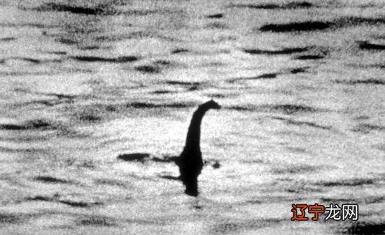 放大招让尼斯湖水怪现“真身”!结果可能只是条鳗鱼