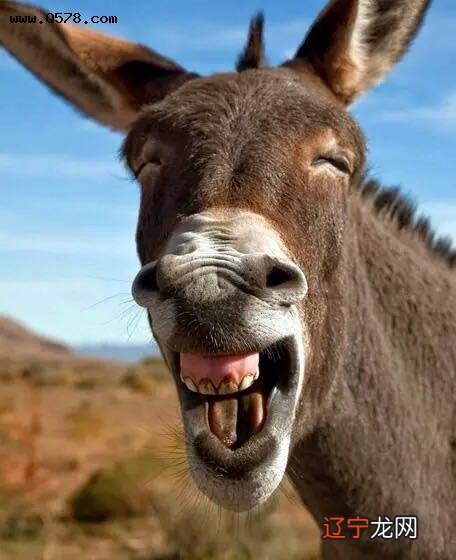 空调遥控器上的图标,你都知道是什么意思吗?