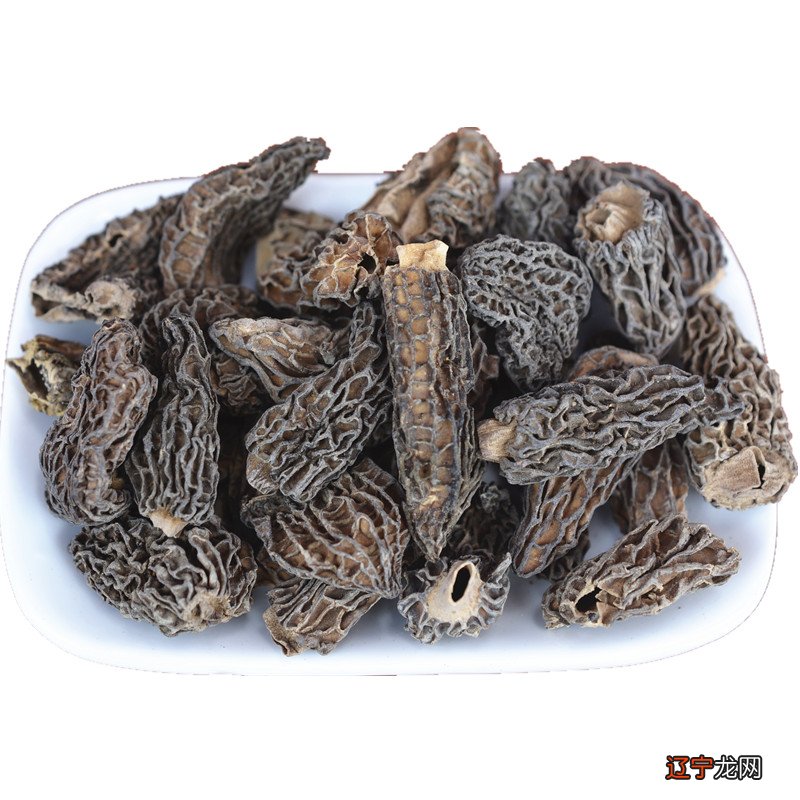 2018年羊肚菌价格多少钱一斤？附人工栽培技术