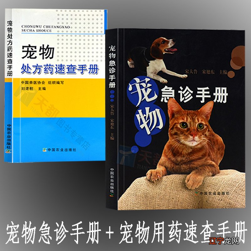 天津宠物市场,天津中环花鸟鱼虫市场