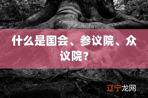 什么是国会、参议院、众议院?
