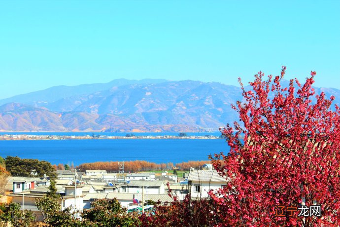 大理雪月觅风花 李志辉_湘南乃风雪月花_大理风花雪月