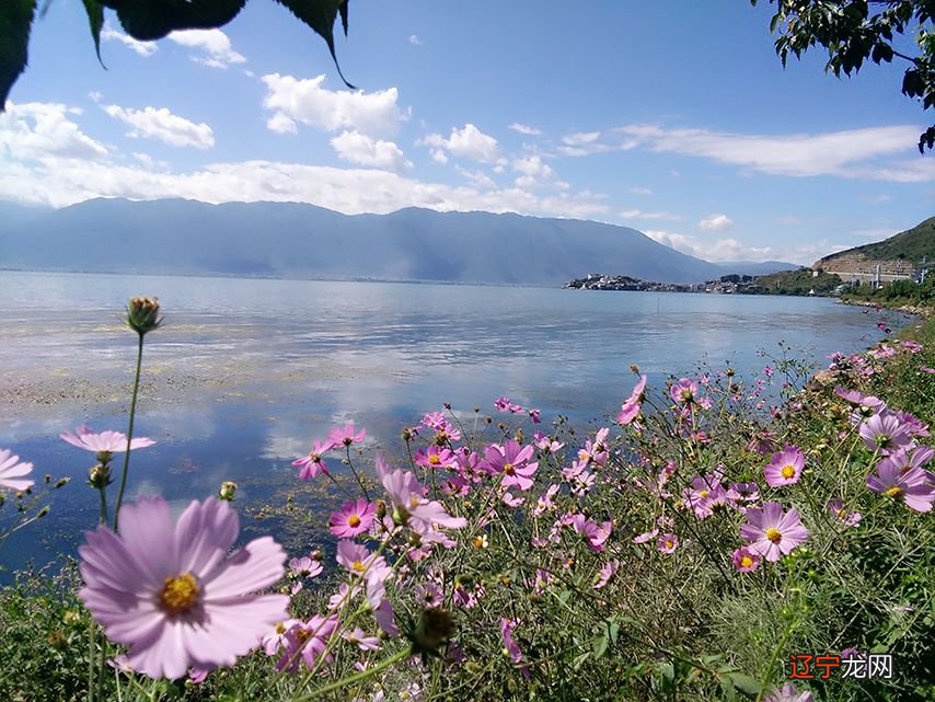 大理风花雪月_大理雪月觅风花 李志辉_湘南乃风雪月花