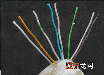 网线的正反接法及用途