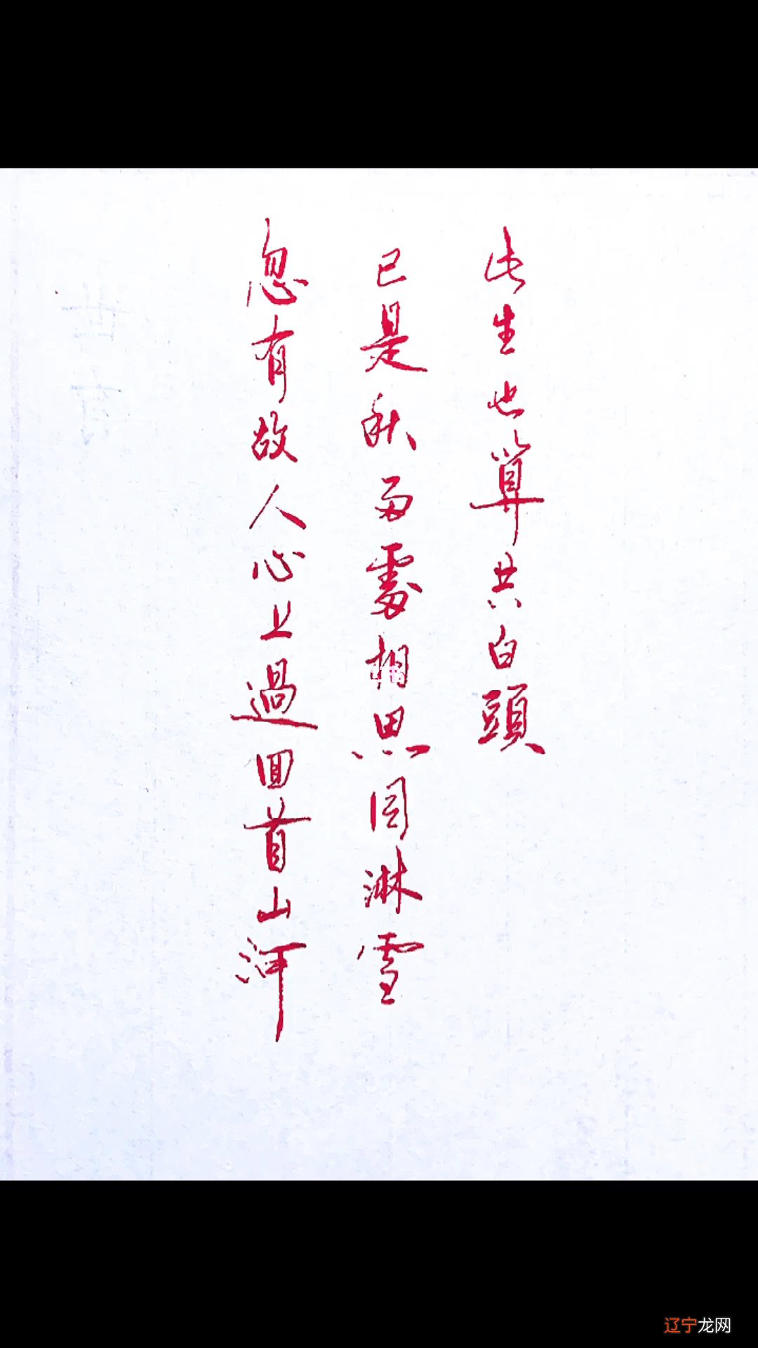 此生也算共白头的上一句