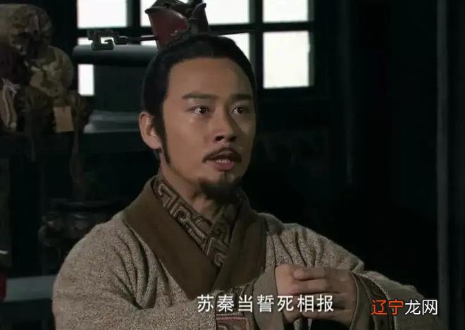 苏秦之楚苏秦运用的方法的好处_苏秦刺股_苏秦的老师