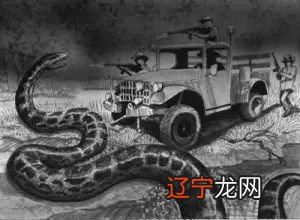 狂蟒吞人