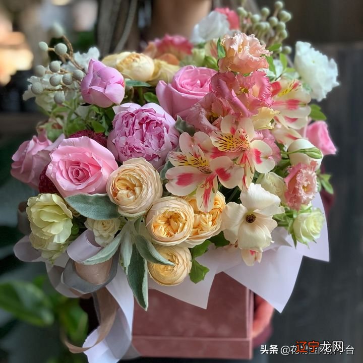 超全玫瑰花语 19朵玫瑰代表什么
