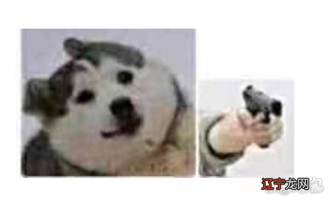 王者荣耀亲密关系专属语音有哪些 如何获取