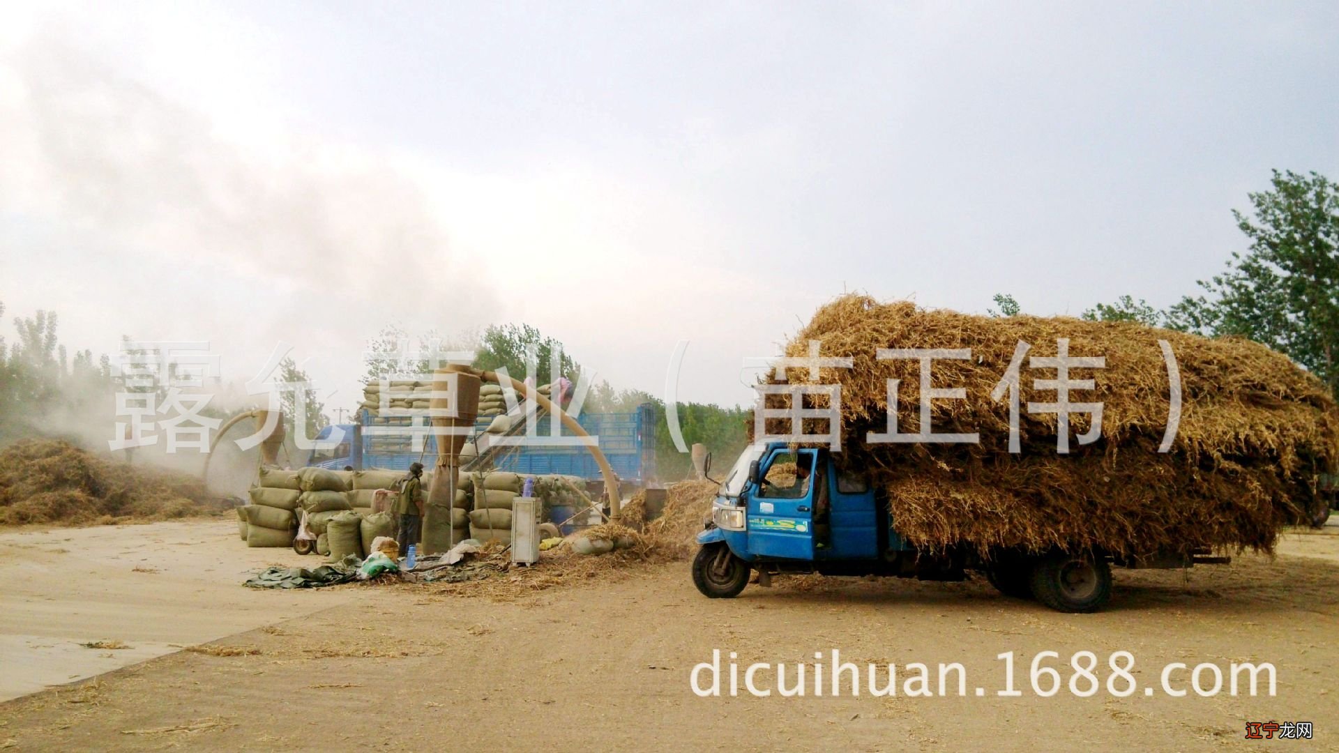 木府风云阿照与木增_历史上的木增和阿勒邱_木增