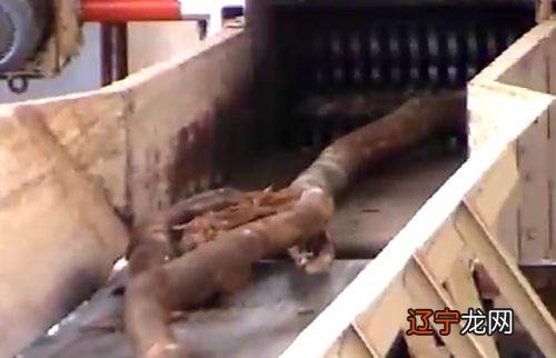 装修风云｜板材篇二：密度板、颗粒板、爱格板、露水河板的那些事