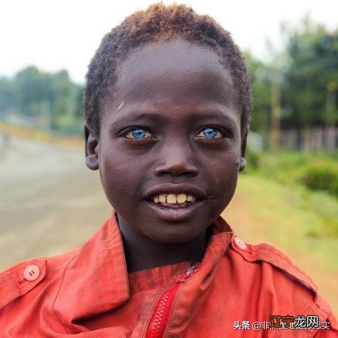 蓝鲸的眼睛读后感500字_蓝鲸的眼睛读书笔记 mi1766com_蓝眼睛的人