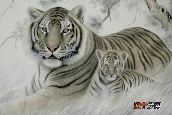 1986年属虎今年多大:1986年属虎的人今年多大年龄