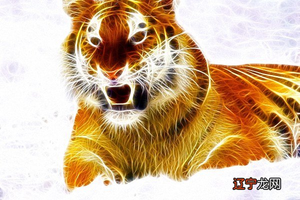 1986年属虎今年多大:1986年属虎的人今年多大年龄