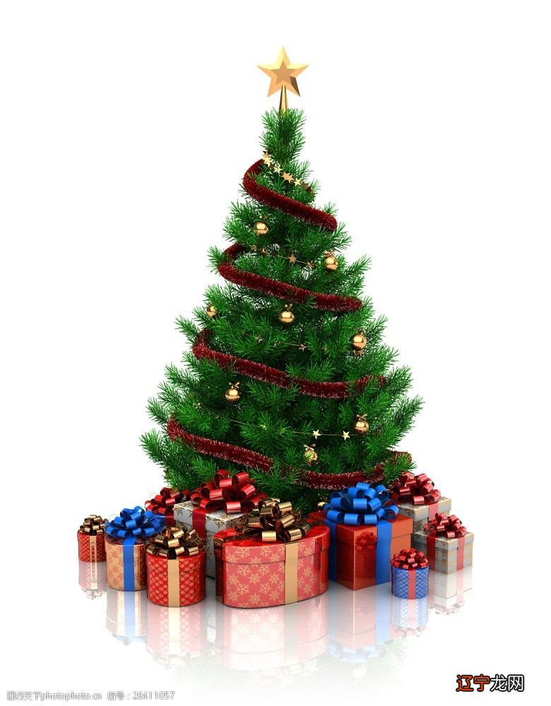 12月25号黄陂一中圣诞联欢晚会主持词及串词_圣诞节是几号_圣诞英语节童话剧剧本