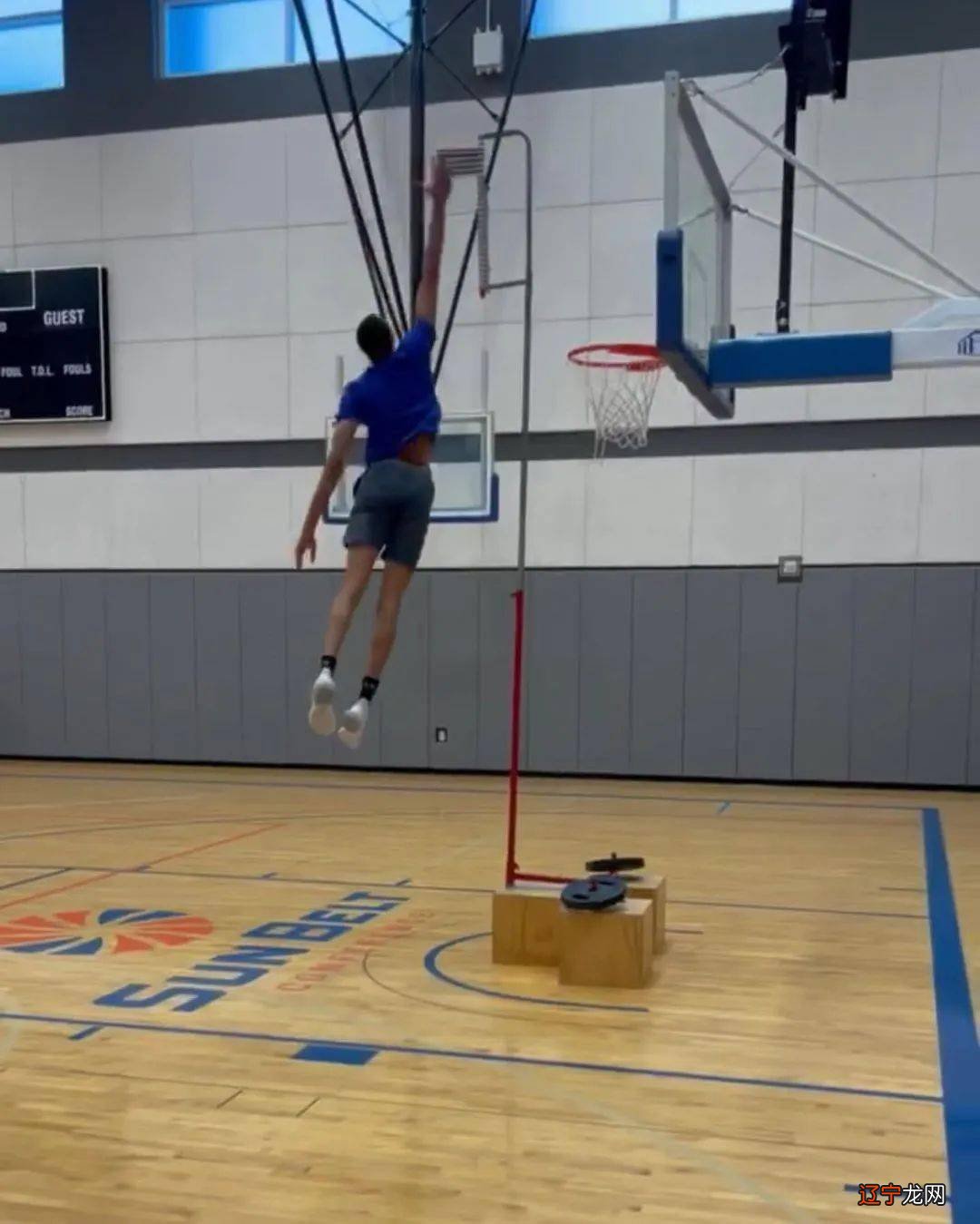 NBA有多少人能摸3米95篮板上沿？真有2人亲口承认摸到