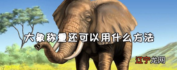 曹冲称象故事英文版